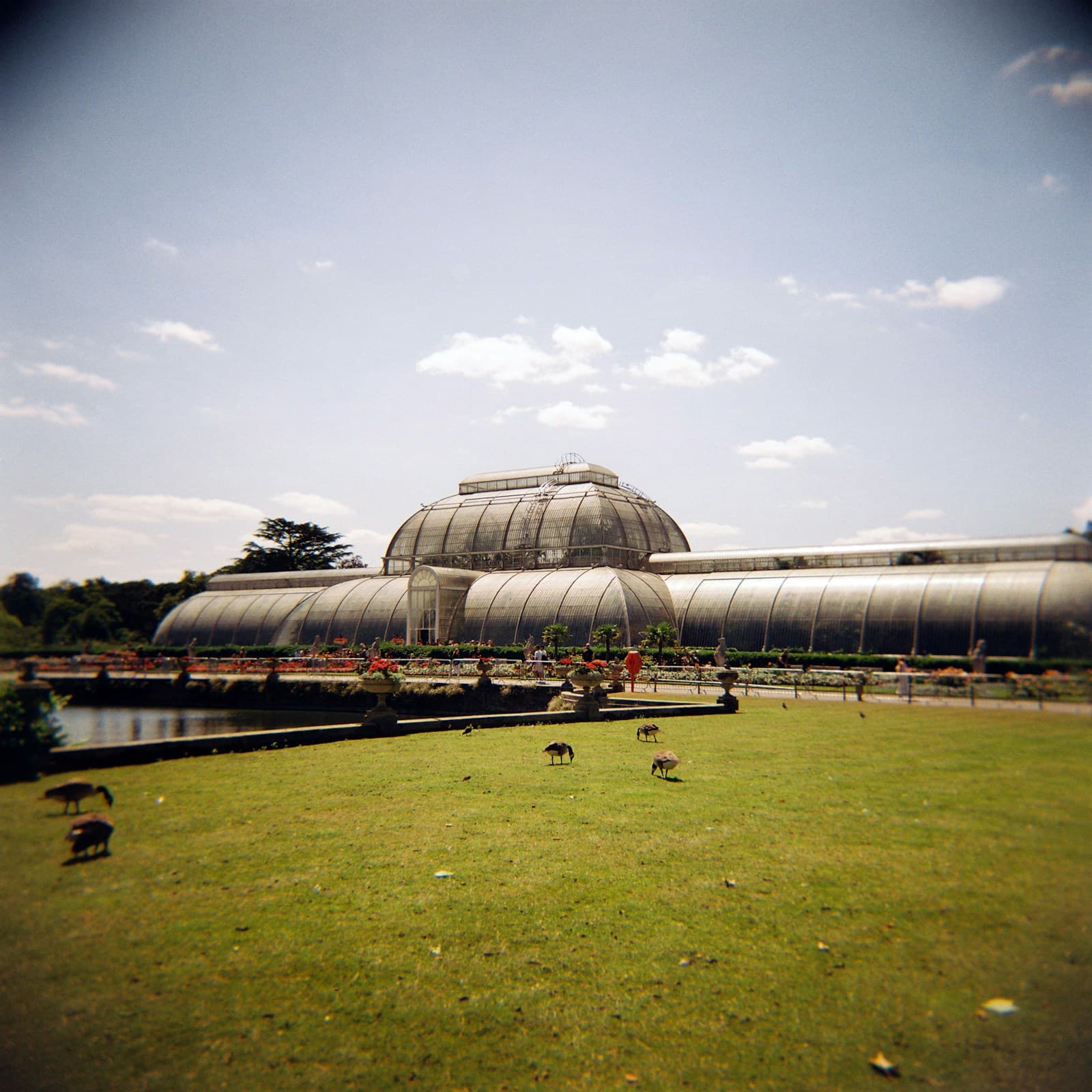 Kew Gardens — the Royal Botanic Gardens in London, one of the UK's most famous gardens